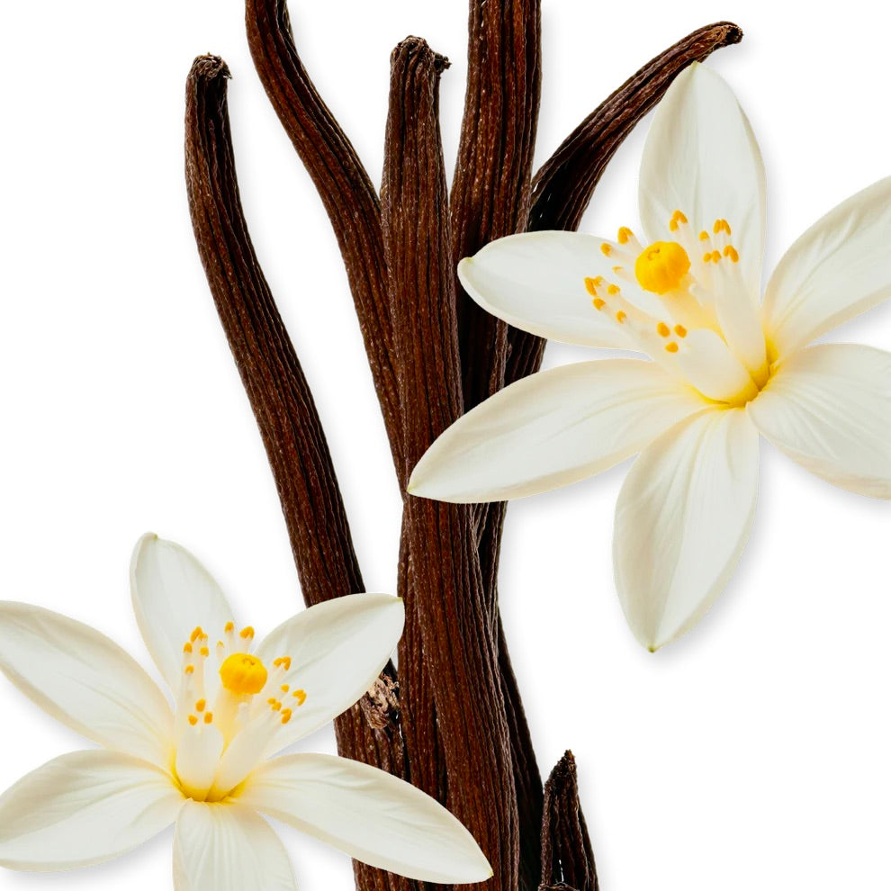 ALTHAIR EAU DE PARFUM - 125 ml 4.2 fl.Oz