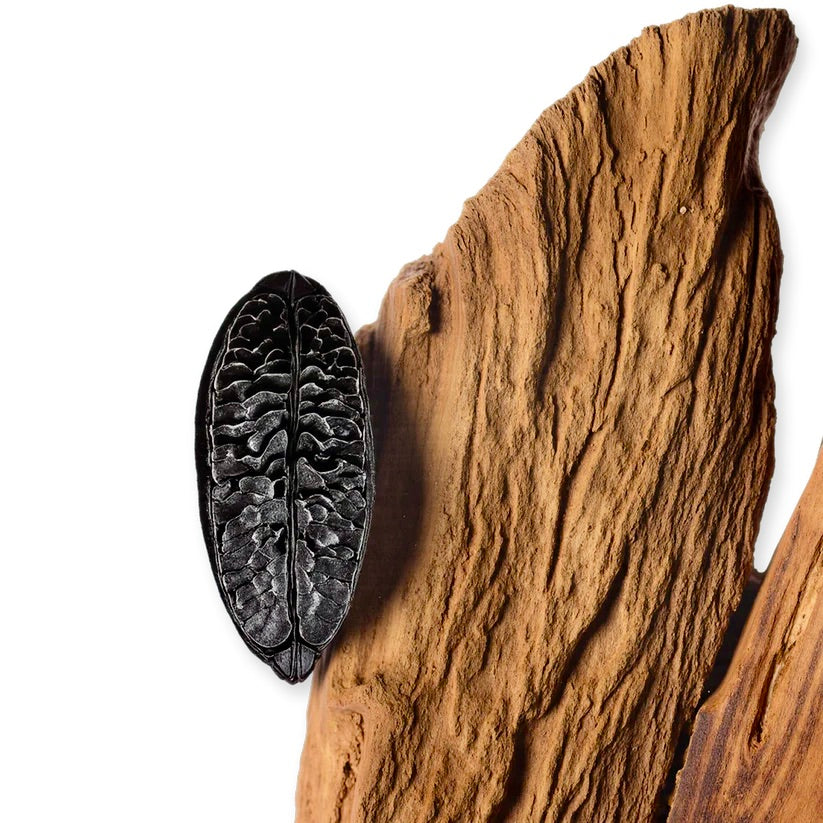 CARLISLE EAU DE PARFUM  _ 125 ml 4.2 fl. Oz