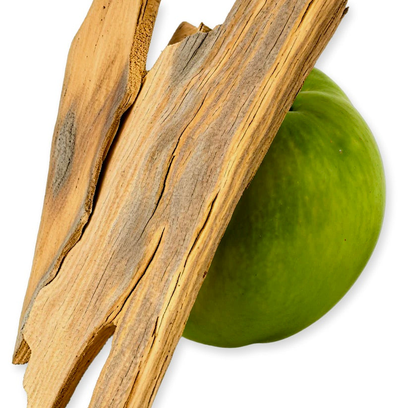 GREENLEY EAU DE PARFUM _ 125 ml 4.2 fl. Oz