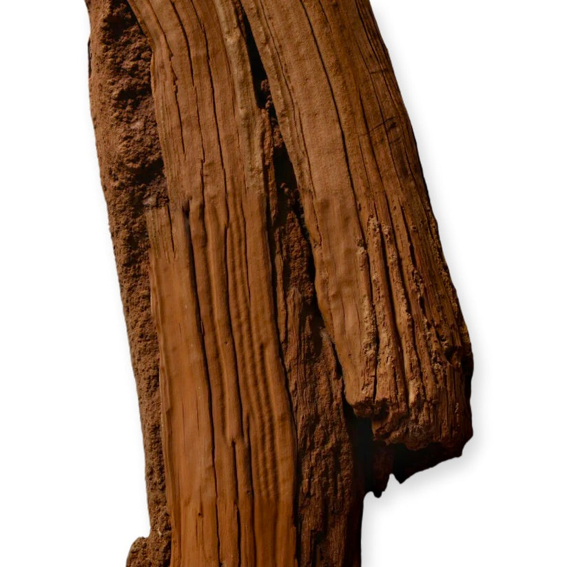 HALTANE EAU DE PARFUM _ 125 ml 4.2 fl. Oz