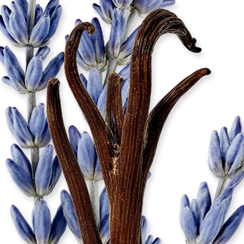 LAYTON EXCUSIF EAU DE PARFUM _ 125 ml 4.2 fl. Oz