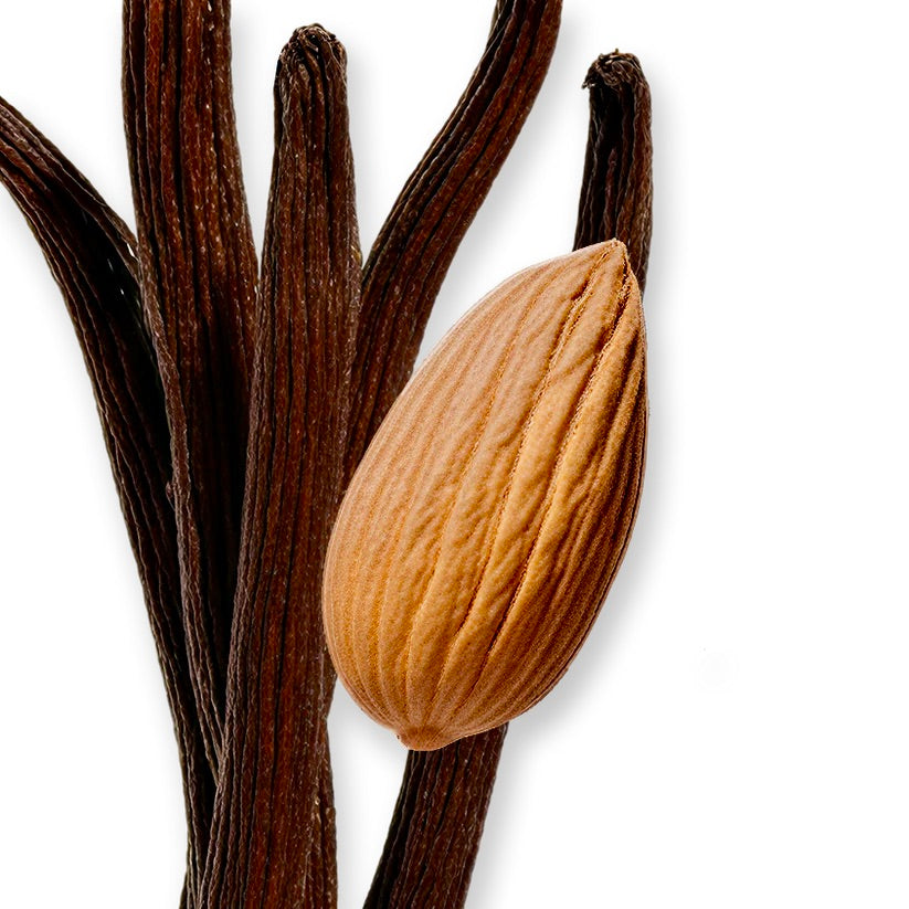 PEGASUS EAU DE PARFUM _ 125 ml 4.2 fl. Oz