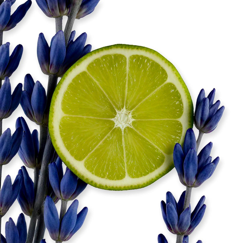 PERCIVAL EAU DE PARFUM _ 125 ml 4.2 fl. Oz